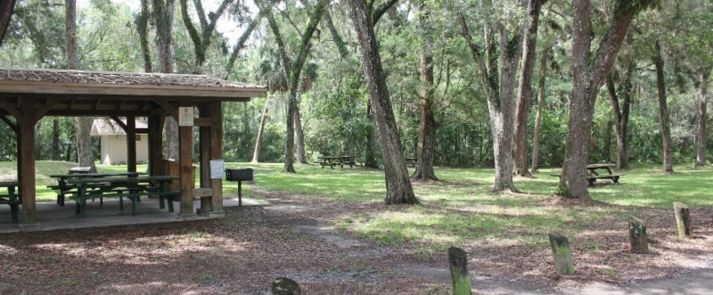 Take a Break at the Picnic Area Florida State Parks